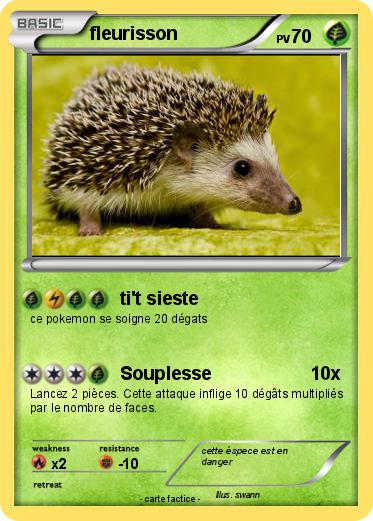 Pokemon fleurisson
