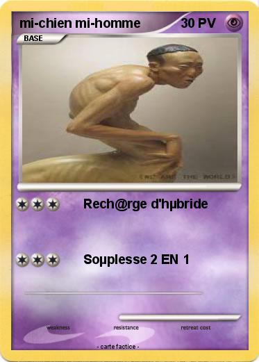 Pokemon mi-chien mi-homme