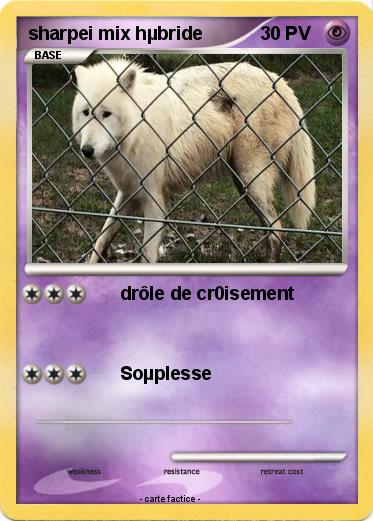Pokemon sharpei mix hµbride