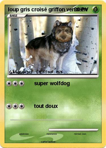 Pokemon loup gris croisé griffon vendéen