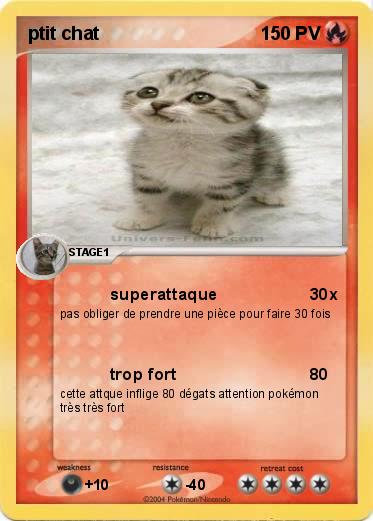 Pokemon ptit chat 