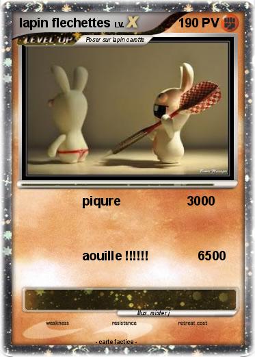 Pokemon lapin flechettes