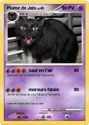 Pokemon Plume de Jais