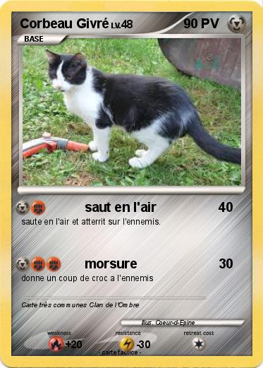 Pokemon Corbeau Givré