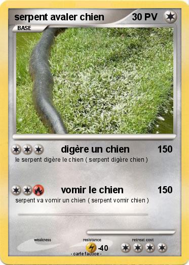 Pokemon serpent avaler chien