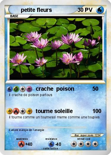 Pokemon petite fleurs