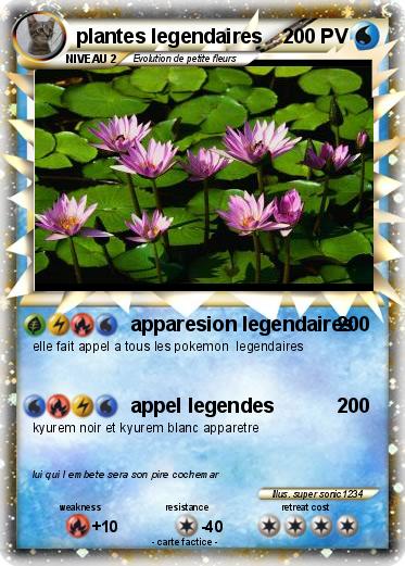 Pokemon plantes legendaires