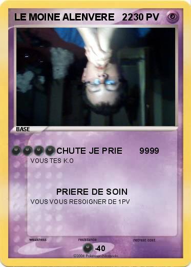 Pokemon LE MOINE ALENVERE   22
