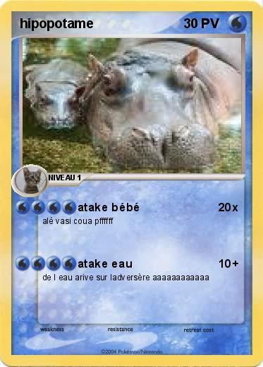 Pokemon hipopotame