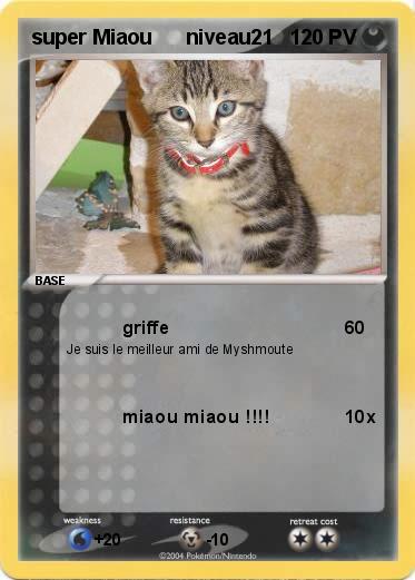 Pokemon super Miaou      niveau21