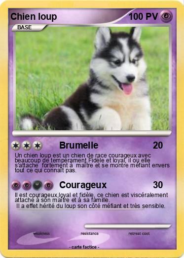 Pokemon Chien loup