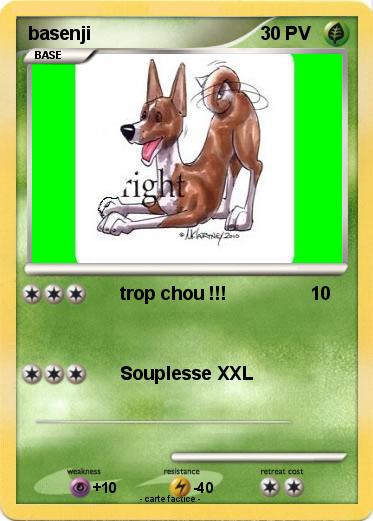 Pokemon basenji