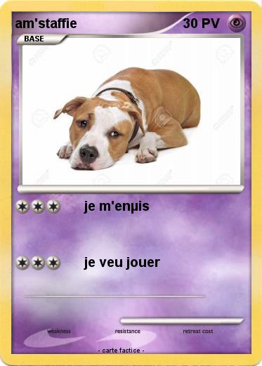 Pokemon am'staffie