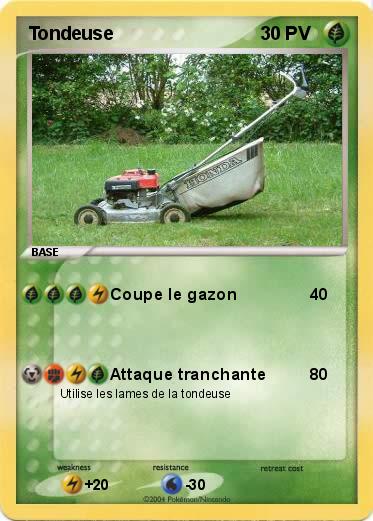 Pokemon Tondeuse
