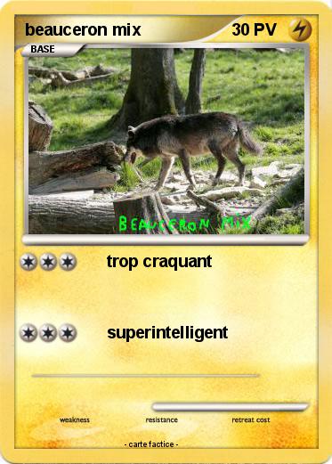 Pokemon beauceron mix