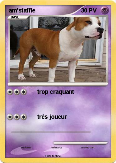 Pokemon am'staffie