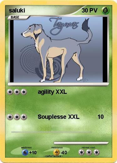 Pokemon saluki
