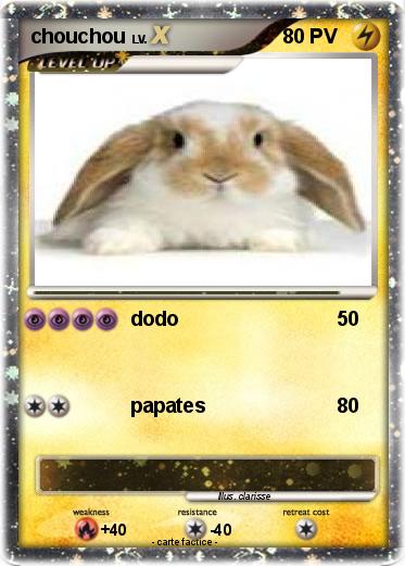 Pokemon chouchou