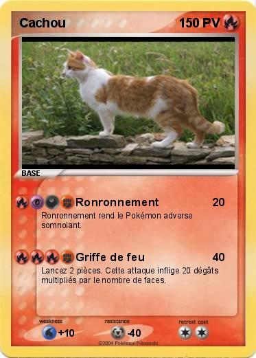 Pokemon Cachou
