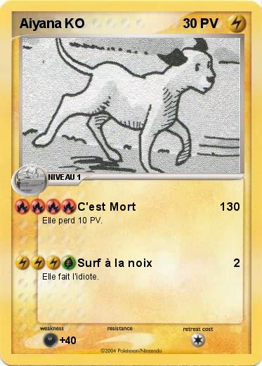 Pokemon Aiyana KO