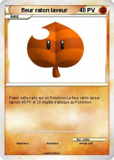Pokemon fleur raton laveur