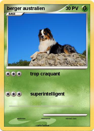 Pokemon berger australien