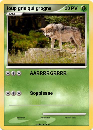 Pokemon loup gris qui grogne