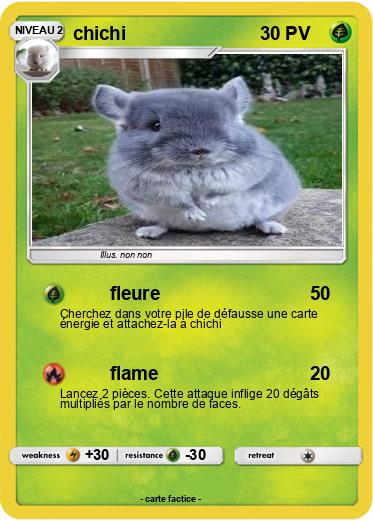 Pokemon chichi