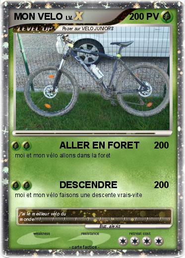 Pokemon MON VELO