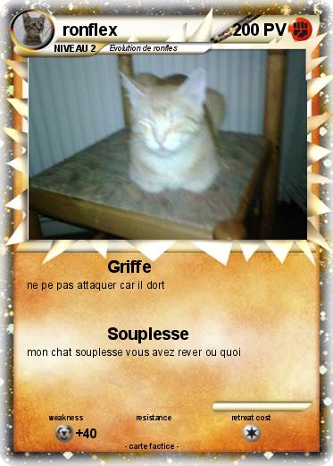 Pokemon ronflex