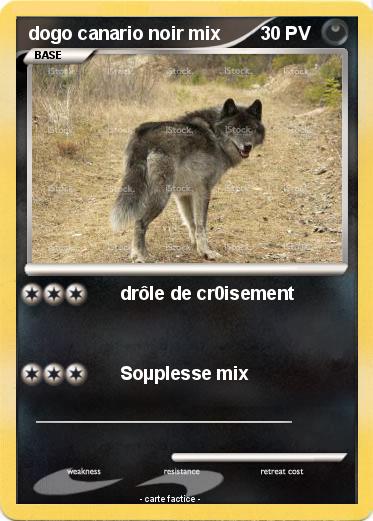 Pokemon dogo canario noir mix