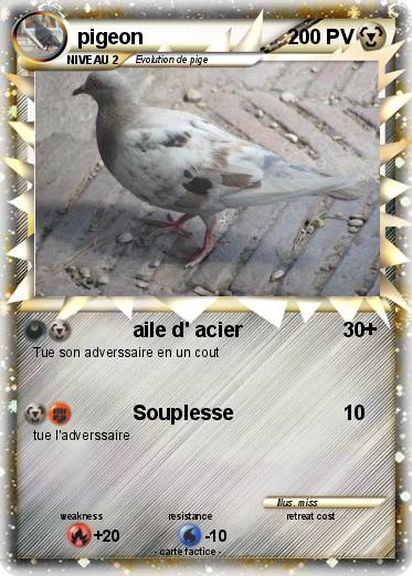 Pokemon pigeon