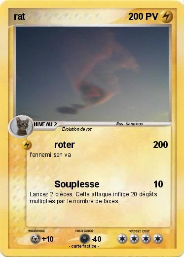 Pokemon rat