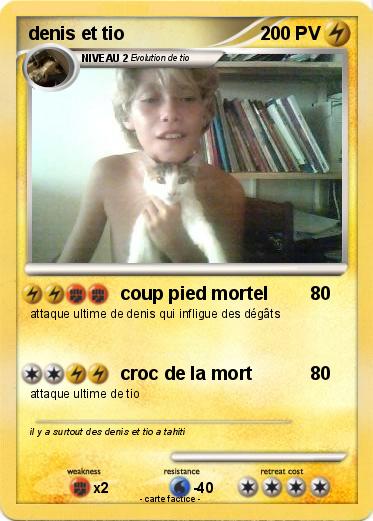 Pokemon denis et tio