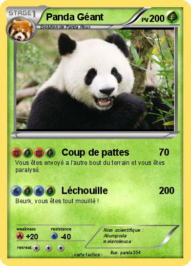 Pokemon Panda Géant