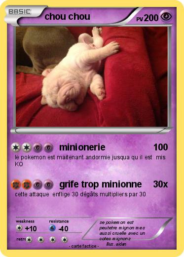Pokemon chou chou
