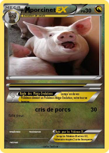Pokemon porcinet