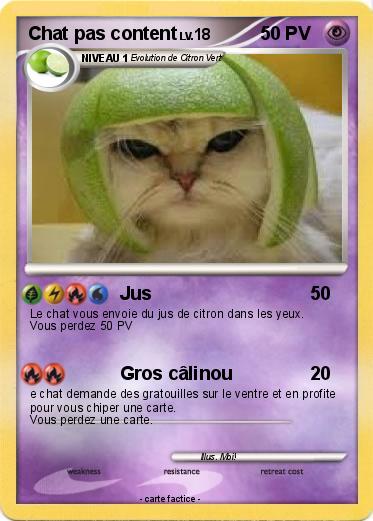 Pokemon Chat pas content