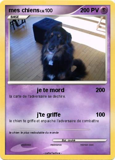 Pokemon mes chiens