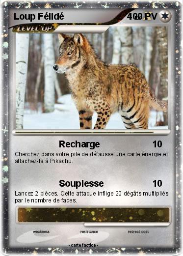 Pokemon Loup Félidé                         4