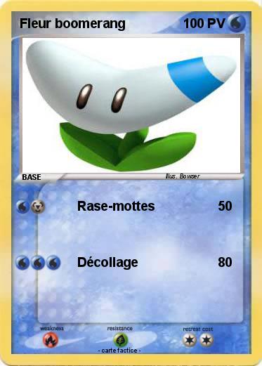 Pokemon Fleur boomerang