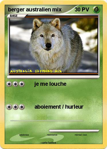 Pokemon berger australien mix