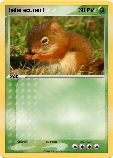 Pokemon bébé ecureuil