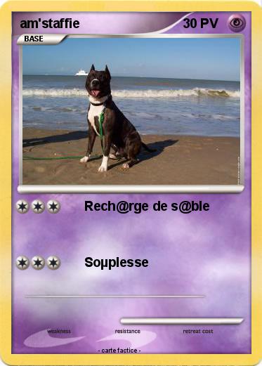 Pokemon am'staffie