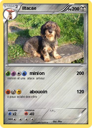 Pokemon iltacae
