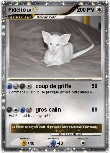 Pokemon Fidelio