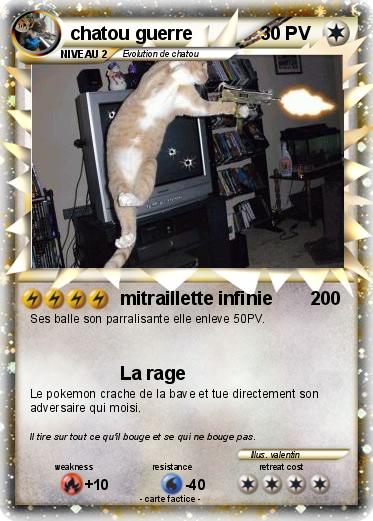 Pokemon chatou guerre