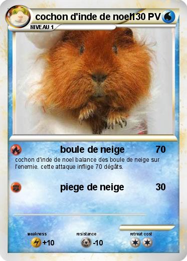 Pokemon cochon d'inde de noel