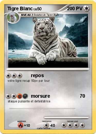 Pokemon Tigre Blanc