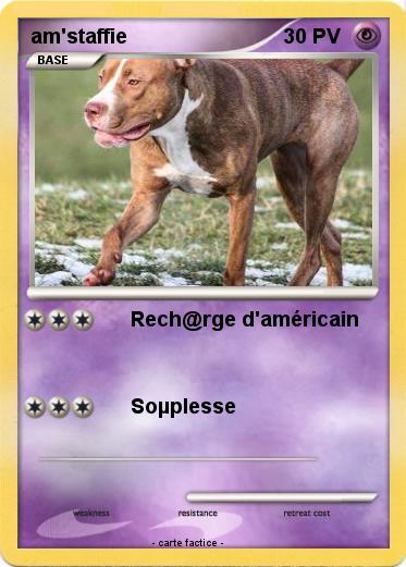 Pokemon am'staffie